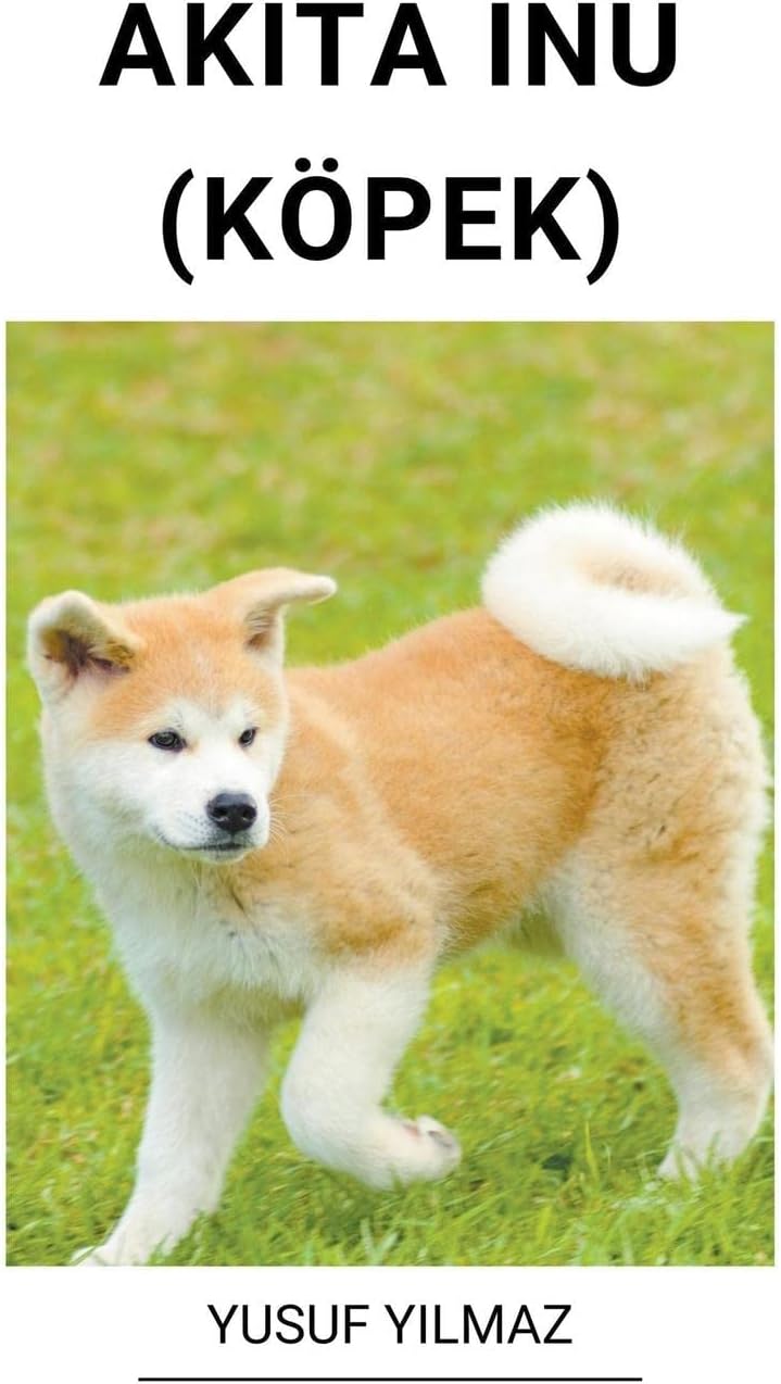 Akita Inu (Köpek)