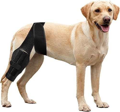 Rodillera de perro para pierna trasera, rodillera para perro para desgarro delantero y trasero, pierna trasera, desgarro de ligamento cruzado