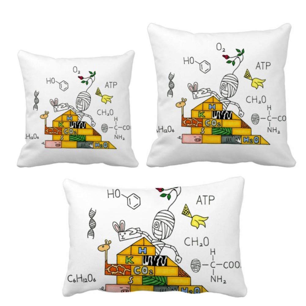 Coussin égyptien Horus et pyramide de chimie pour la déco du salon