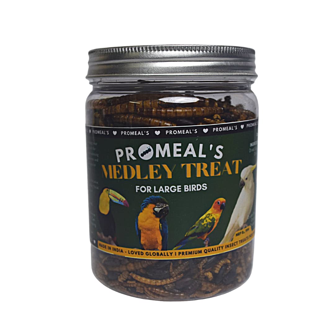 Promeal Medley Treat Insect Mix for Large Birds (20.3 Oz) (B09X49JC3F) Amazon Price History, Amazon Price Tracker