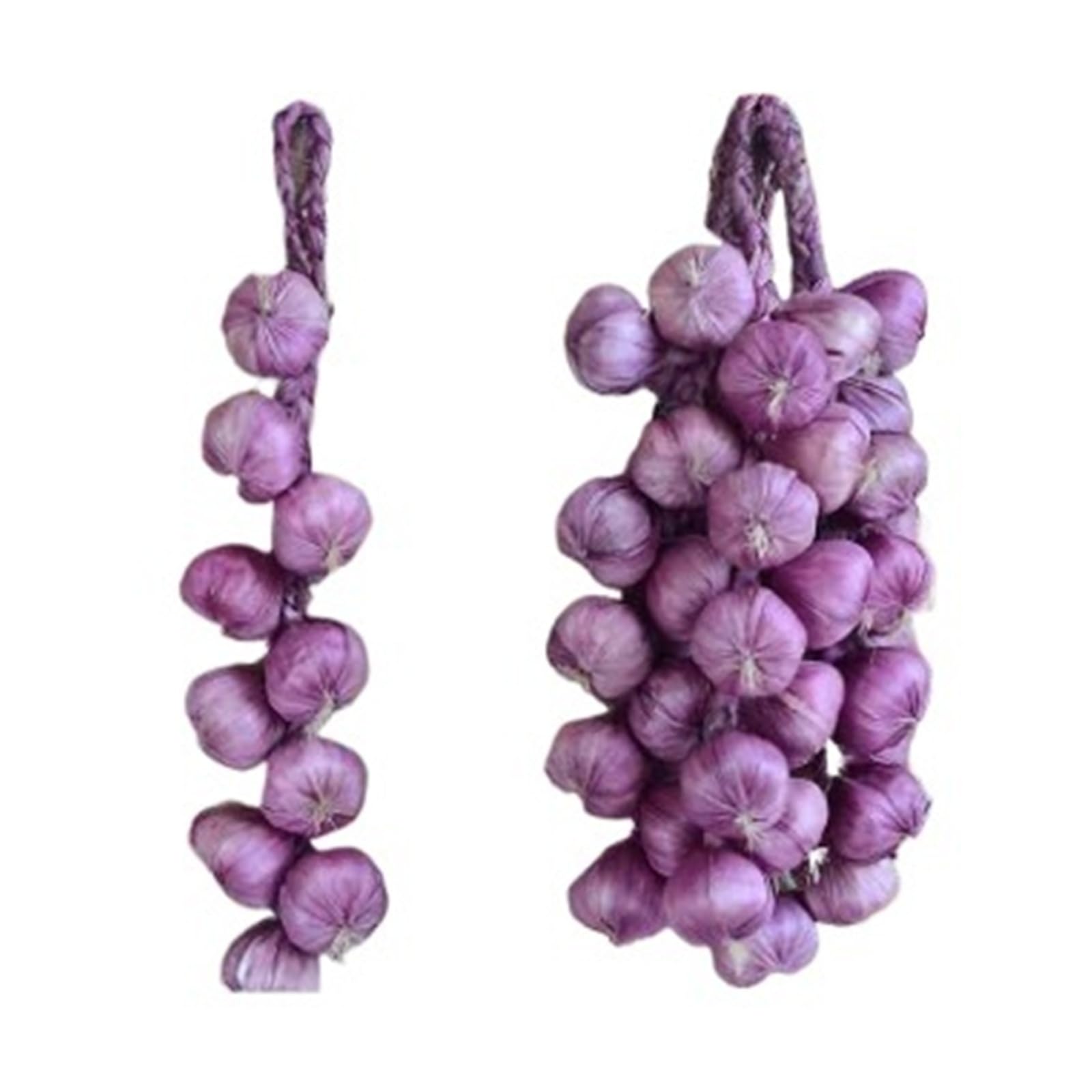 HUDFVIOI Artificial Vegetables Artificial Fake Decorative Fruit Vegetables Onion Garlic Lifelike Foam Dish Corn Red Pepper Kitchen Decoration for Decoration(Purple garlic)