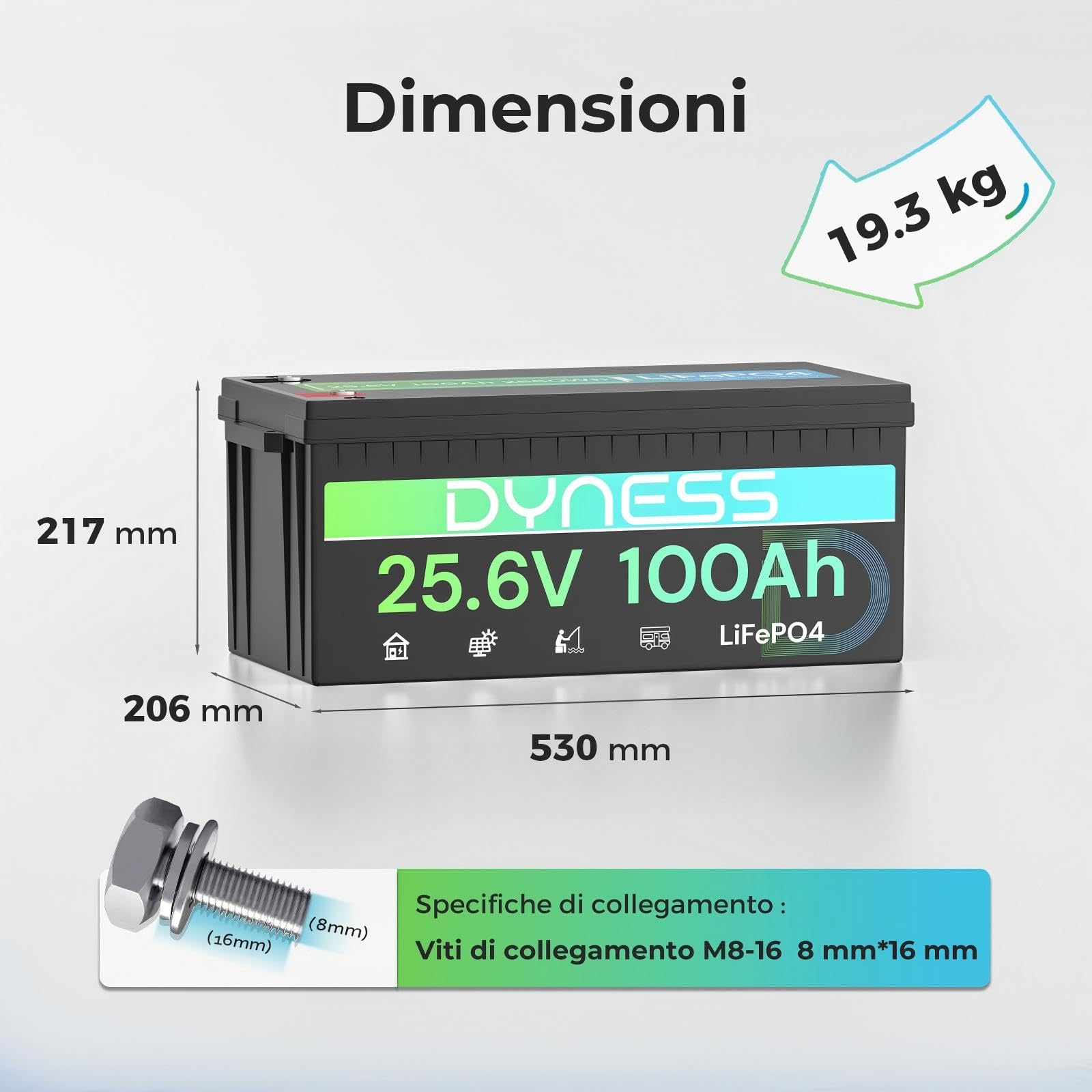 Dyness Batteria Litio LiFePO4 24V 100Ah con 100A BMS e Protezione Bassa Temperatura, Batteria 24V per Fotovoltaico Accumulo, Barche da Pesca Bass, Sistemi di Energia Rinnovabile, Camper (RV), Off-Grid