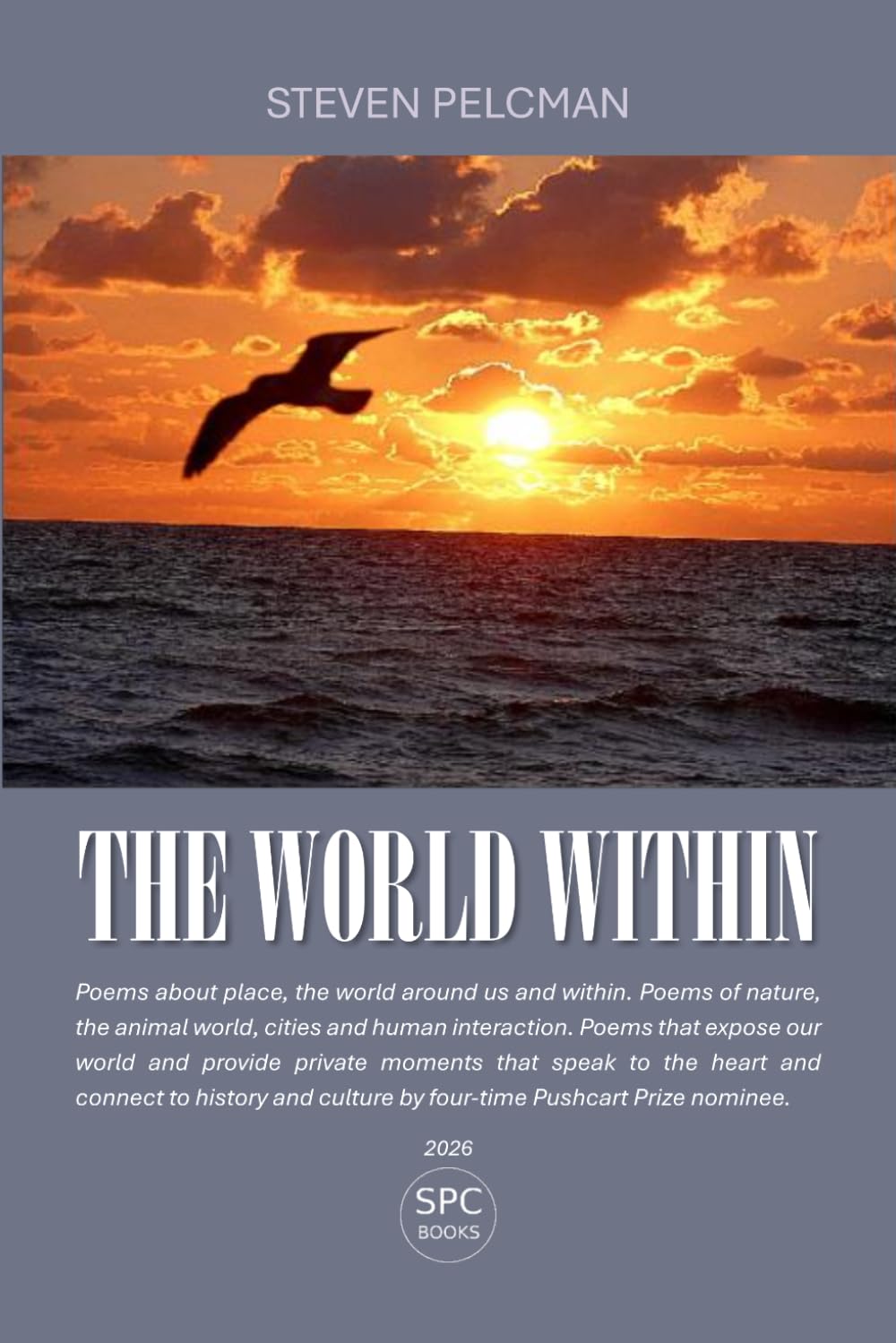 THE WORLD WITHIN