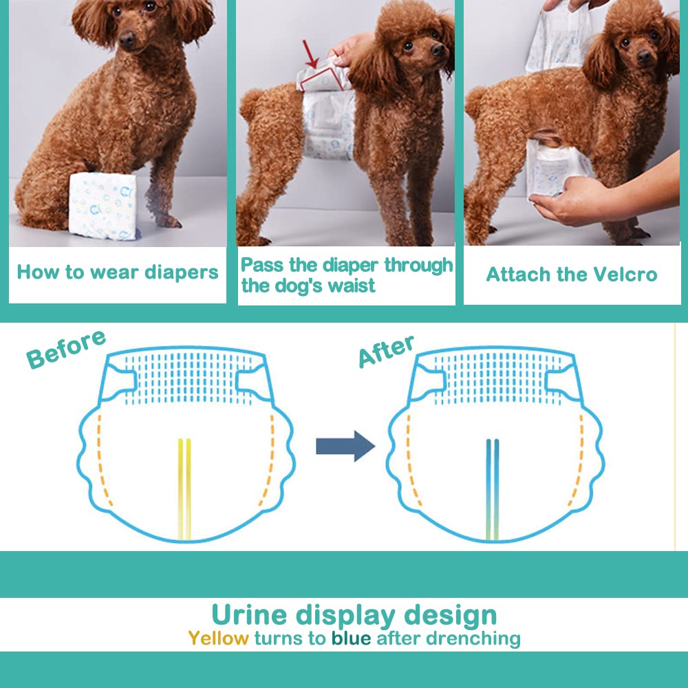 BPS 48 Pcs Pañal para Perro Sanitarios Mascotas Desechables Masculino ​Entrenamiento Súper Absorbente Braguita Higiénica 4 Tamaños (XL: 48 Pcs) BPS-2207 * 6