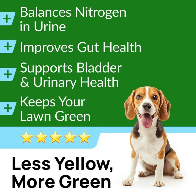 PAWFECTCHEW Green Grass Dog Chews with Probiotics – Lawn Burn Support – Dog Urine Neutralizer for Grass – Pee Spot Control – Gut & Urinary Health – 240Ct