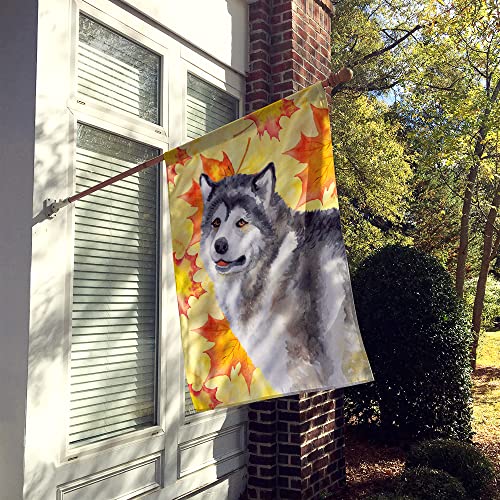 Drapeau Malamute de l'Alaska Caroline's Treasures BB9899CHF grand format multicolore pour maison