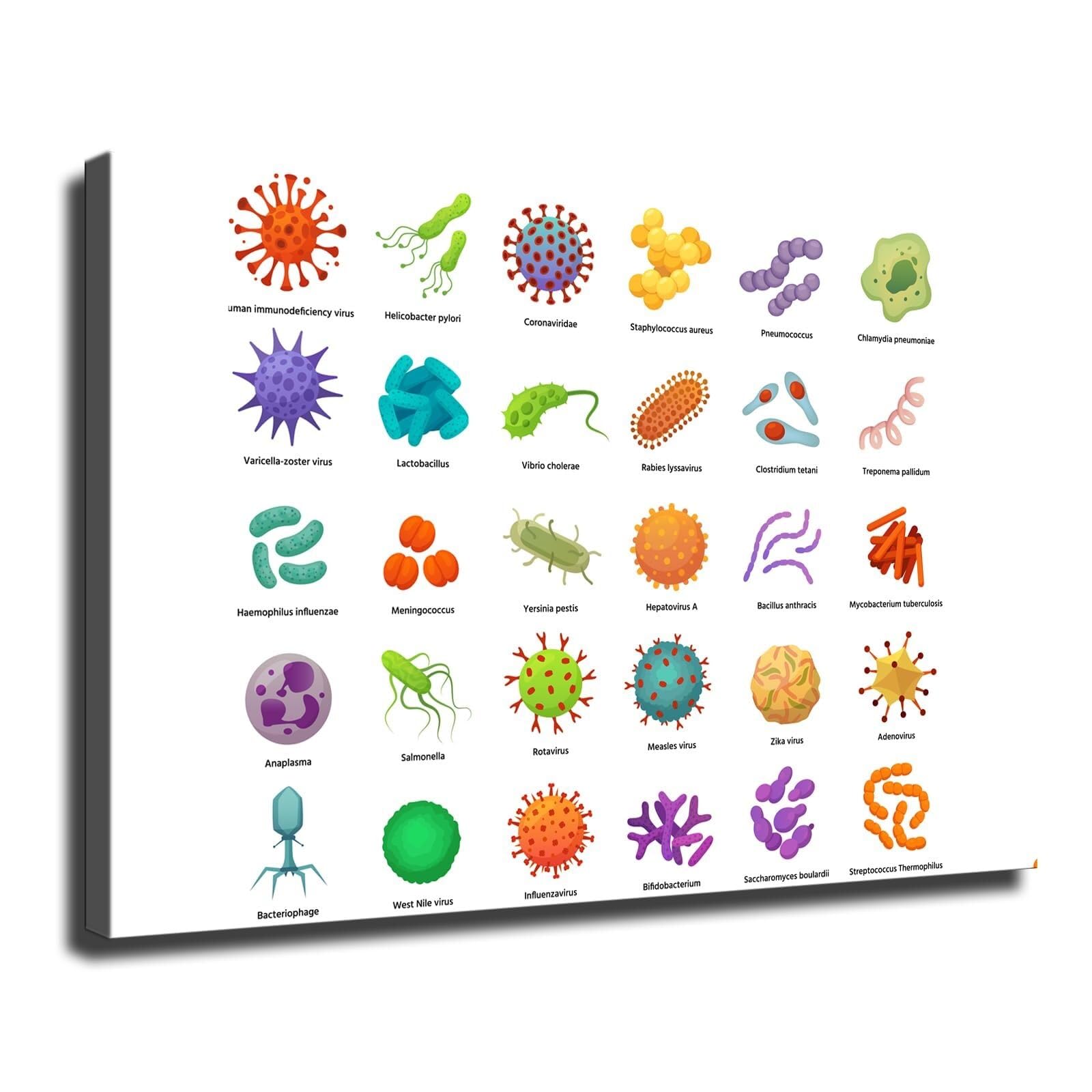 SSOPTMCB Infectious Diseases Chart, Pathogen Bacteria & Viruses Wall-Art, Print for Microbiology Enthusiasts, Hospital, Research Center Decor(Framed,16x24inch(40x60cm))
