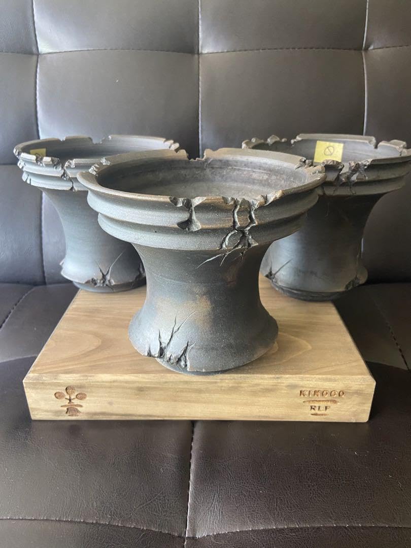 CJ Pot, 2 Invisible Ink Ceramic Pot, Katachi Seisakusho : Amazon.ca