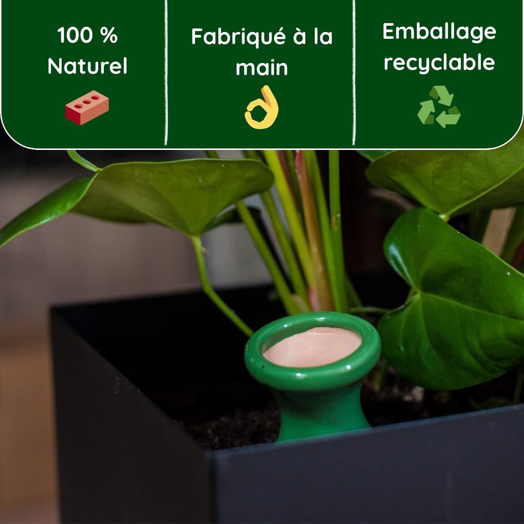 3 oyas à enterrer de 330 ML en Couleur avec Leur Couvercle - ollas pour arroser Tous Type de Plante d'intérieur et extérieur (Vert)