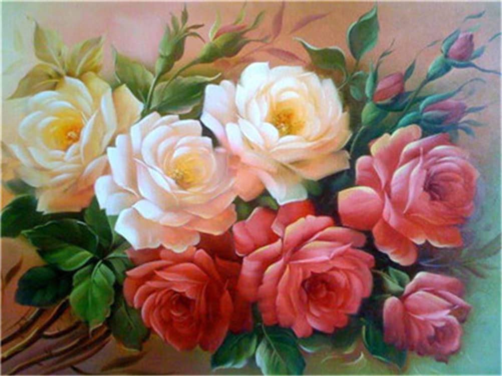 Amazon.co.jp: Meecaa Paint by Numbers 赤いバラの花キット 大人用
