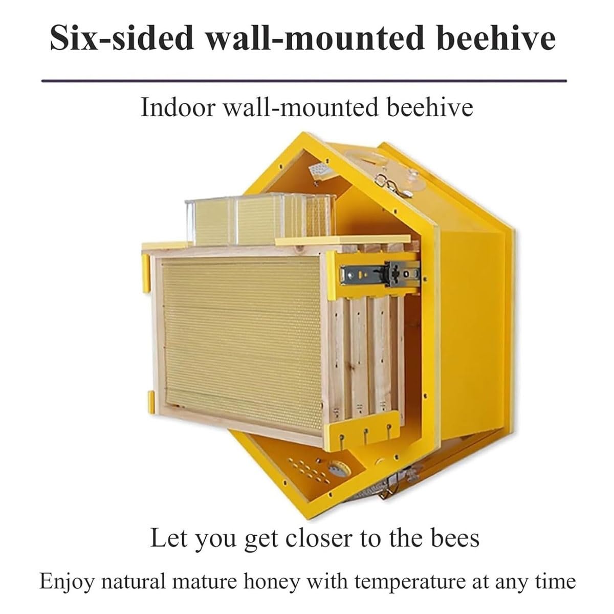 Beehive Starter Kit,Wall-Mounted Observation Bee Hive with 3 Frames & 6 Honeycomb Trays,Flow Hive Beehive with Acrylic Viewing Window,for Beekeeping Enthusiasts, Bee Farm