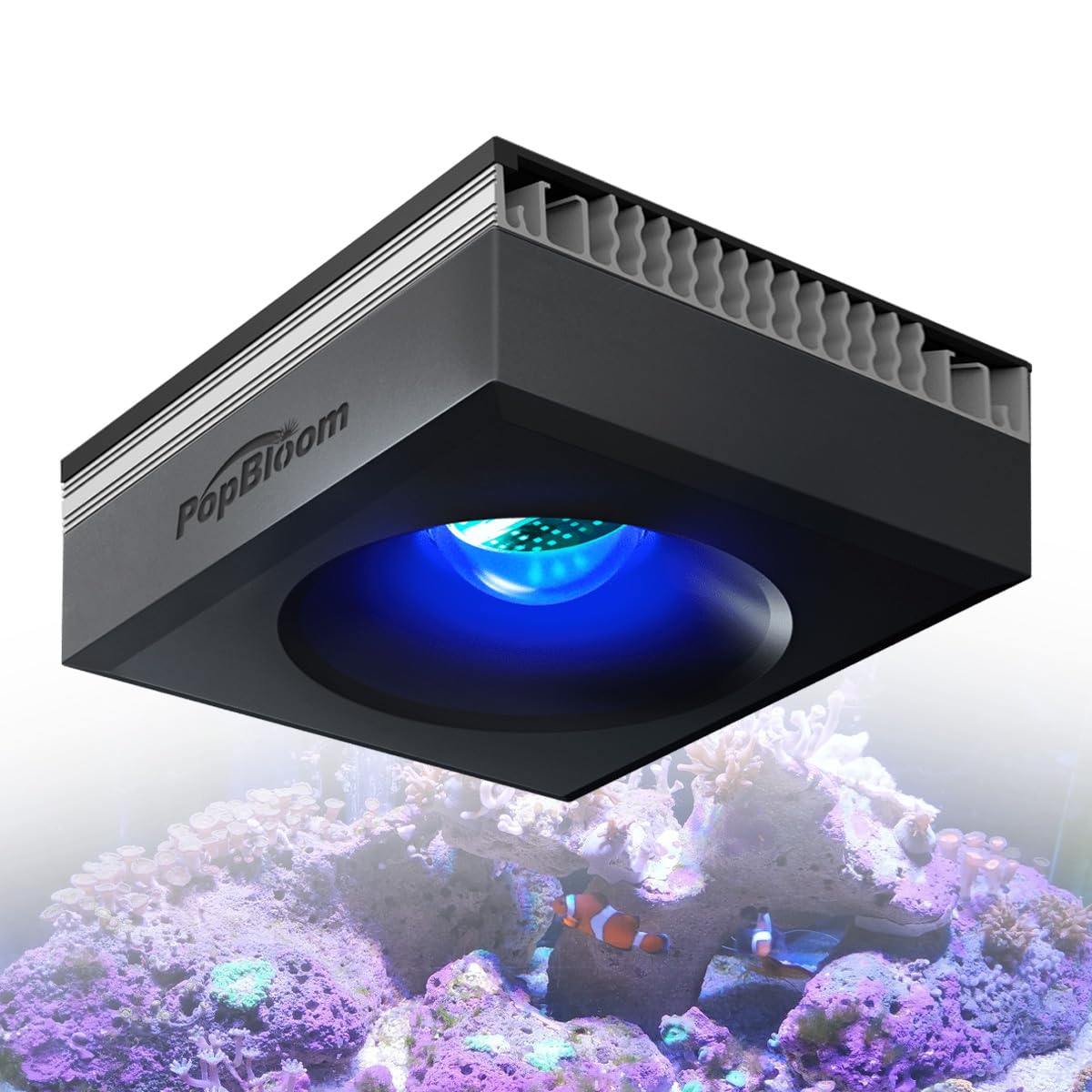 Luz LED para acuarios de arrecife PopBloom RL90, iluminación LED inteligente para arrecifes controlada por aplicación, adecuada para entornos marinos mixtos de arrecife SPS/LPS.