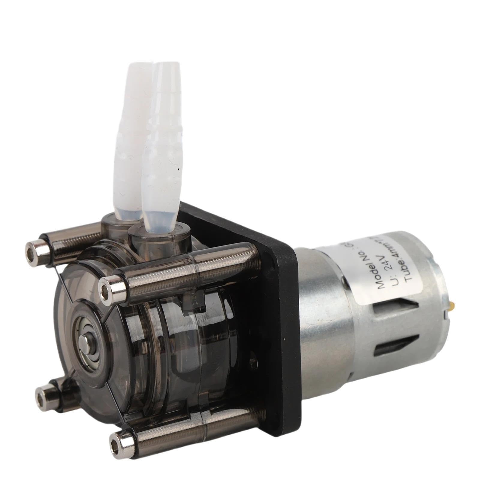 Pompa peristaltica Pompa dosatrice for liquidi con motore a spazzole da 300 ml/min(24V)