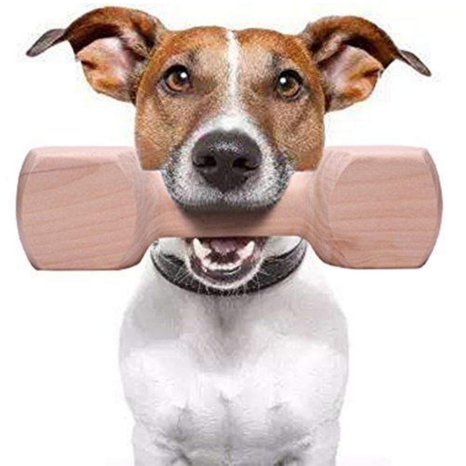 emily pets Wood Retrieving Dumbbells Wooden Teether Dumbbell Shaped Dog Training Toy for Medium to Large Breeds W8,L20.7,H7CM(Large,430gm) (B09J4PSXDG) Amazon Price History, Amazon Price Tracker