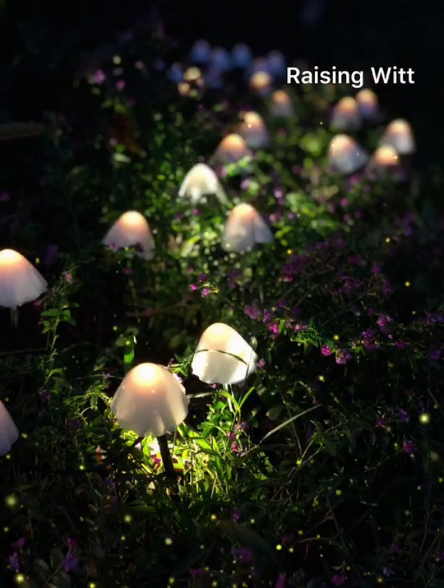 ZYTC Solar-Pilz-Lichterkette 20 Fuß (6 M) – 30 LEDs, 8 Beleuchtungsmodi, IP65 Wasserdicht, Für Garten & Terrasse