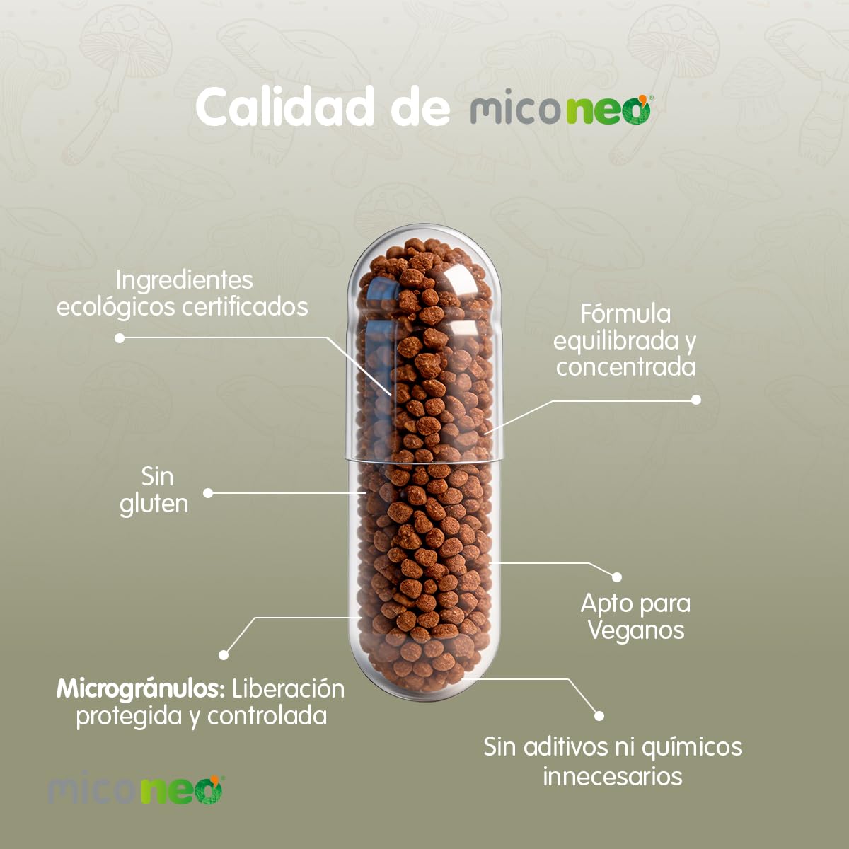 MICO NEO | ALR | 60 Cápsulas | Ayuda contra los Síntomas de Alergias Estacionales | Reduce la Tos | A Base de Sol de Oro, Reishi, Champiñón del Sol, Melena de León y Camu Camu