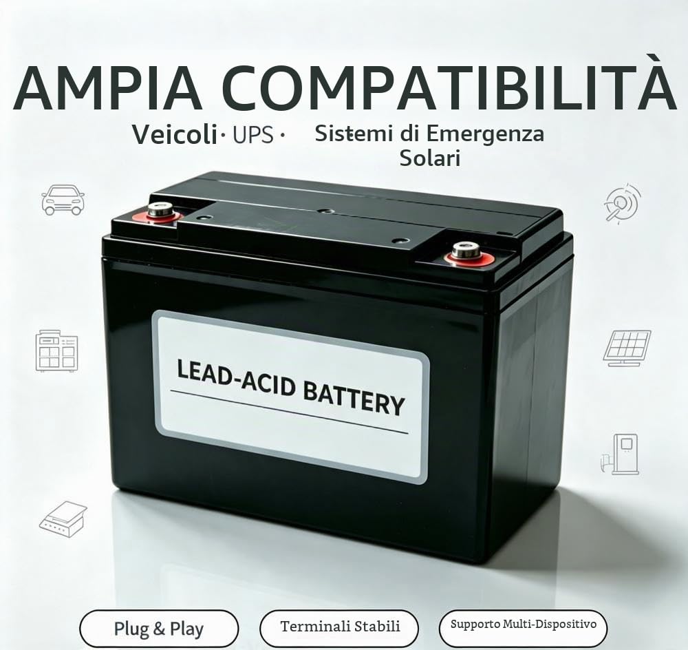 Batterie a lunga durata,LifePO4 Batteria,
