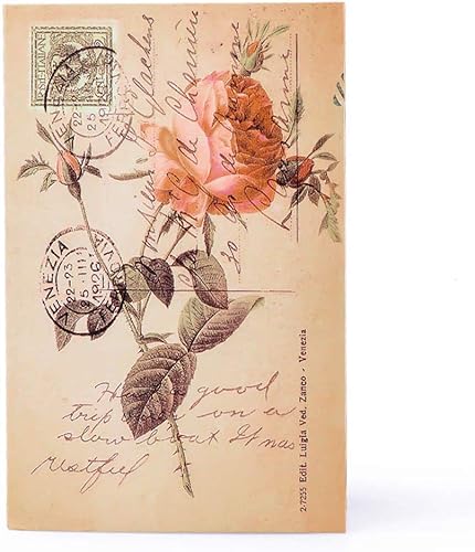 Caja fuerte para libro de diversión, caja fuerte secreta de diccionario con cerradura de combinación, libro de desviación oculto (rosa, llave, M)