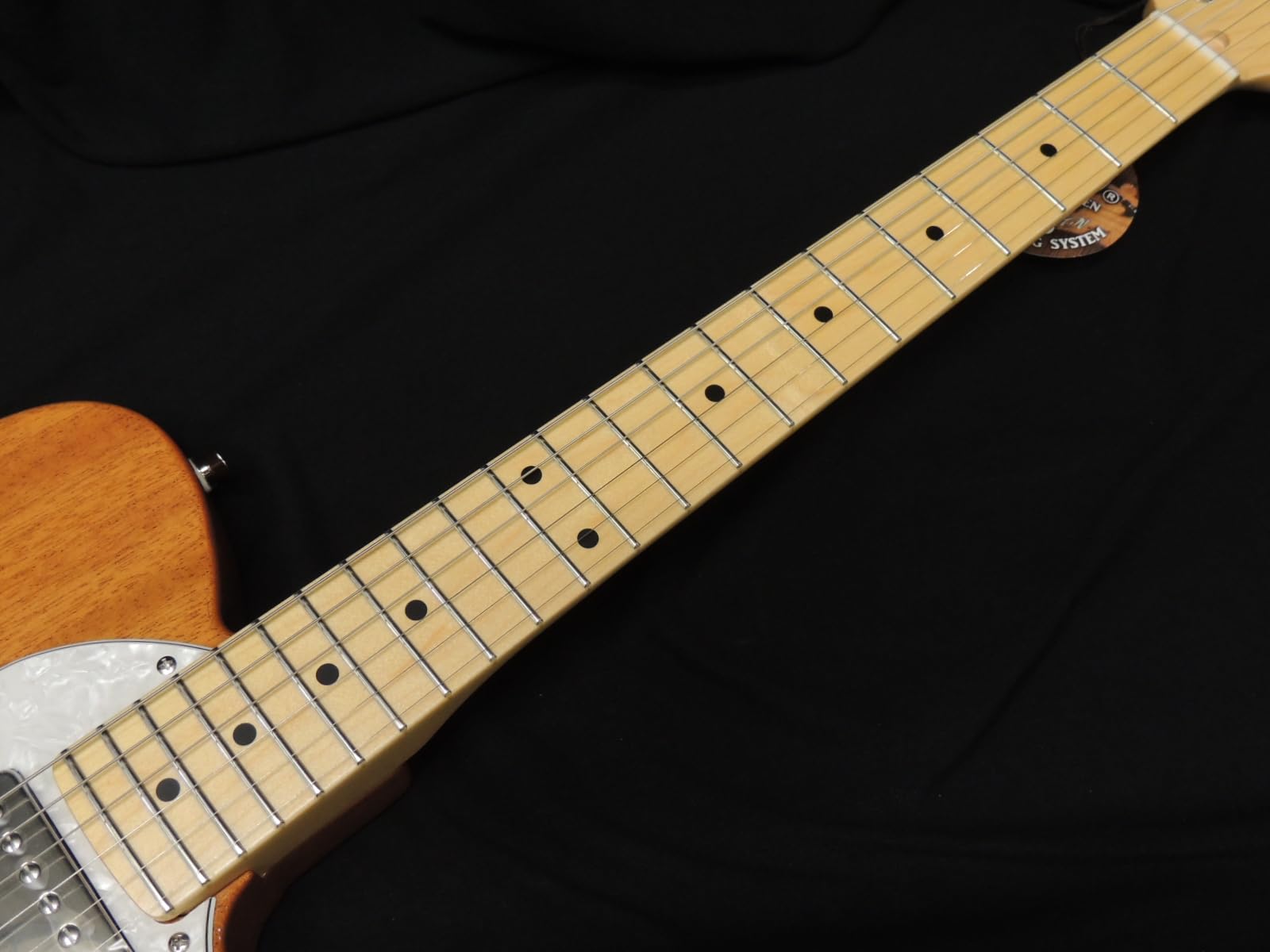 Amazon | FGN FUJIGEN NTE110MMHT NT フジゲン Neo Classic SERIES