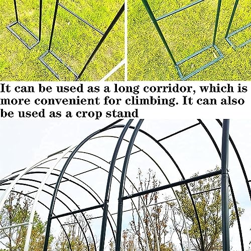 Arche de jardin large 350cm support tuteur pour rosier grimpant - 6