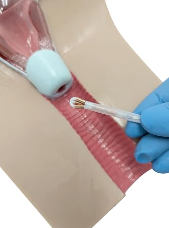 Anatomy Lab IUD Insertion Model I