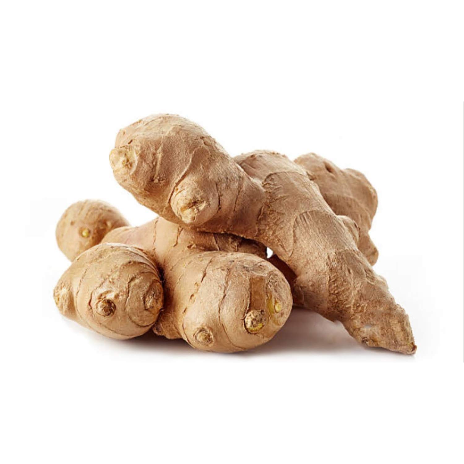NESTLADY Wild Ginger Slices Herbal Tea All Natural Nutritious 200G…