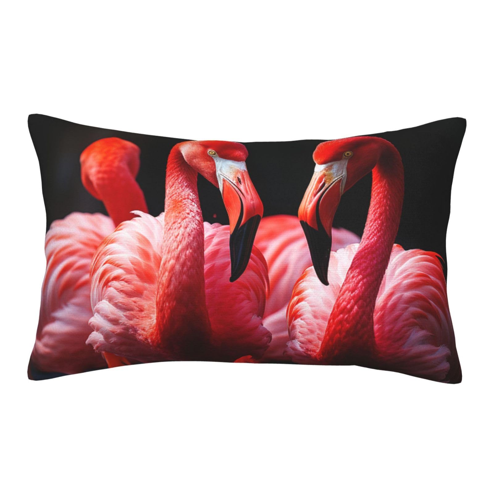 Velvet Pillowcases 14"x20" Ultra Soft Breathable Pillow Cases, Luxury Fuzzy Throw Pillow Covers with Zipper, Flamingos in Black Background Pillow Shams All Seasons Decorative Cushion Cases for Couch