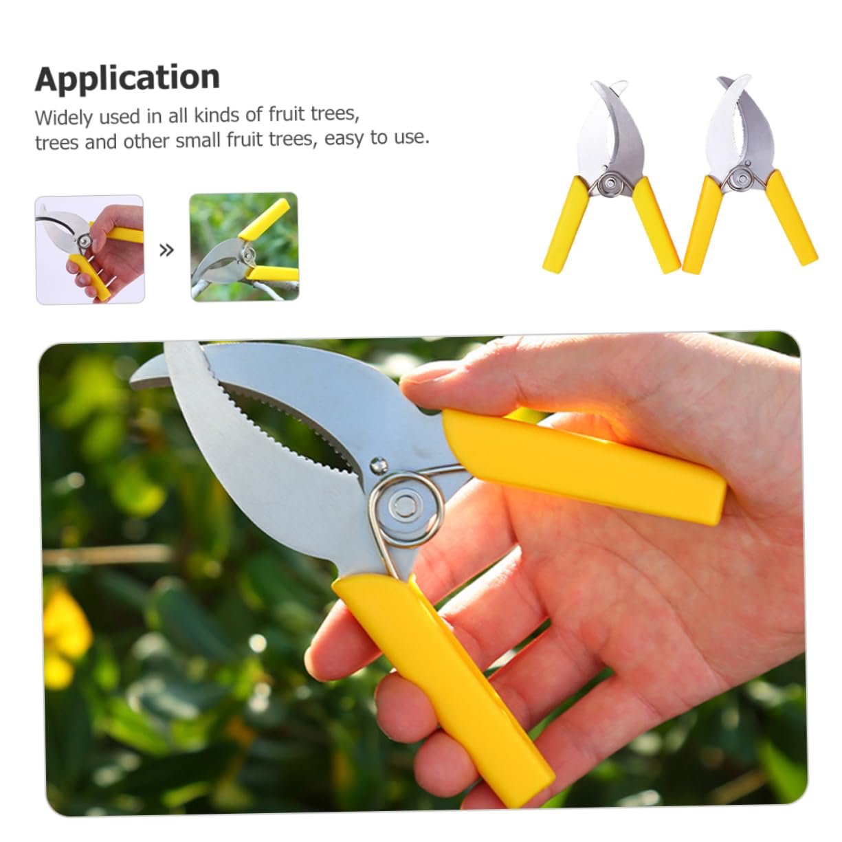 Abaodam 3 Ensembles Cisailles À Ceinturer Outil De Plantation De Fruits Outils À Main Du Jardin Outil De Jardinage À Main Outils À Main Le Jardinage Acier Inoxydable 2 Pièces * 3