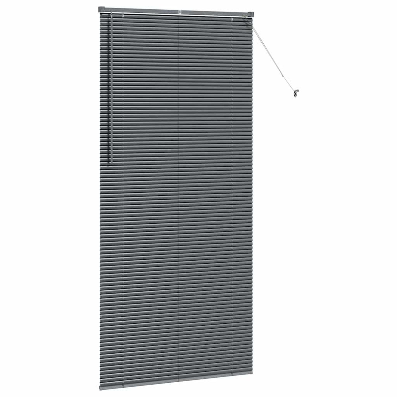 Gecheer Stores vénitiens modernes gris foncé en aluminium - 100 x 220 cm, manuels, design épuré