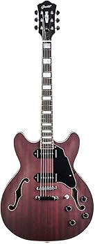 Amazon | GROTE Full Scale Electric Guitar Semi-Hollow Body Guitar