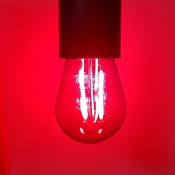ZHZHLED S14 LED Red Light Bulb 2 Watt String Light