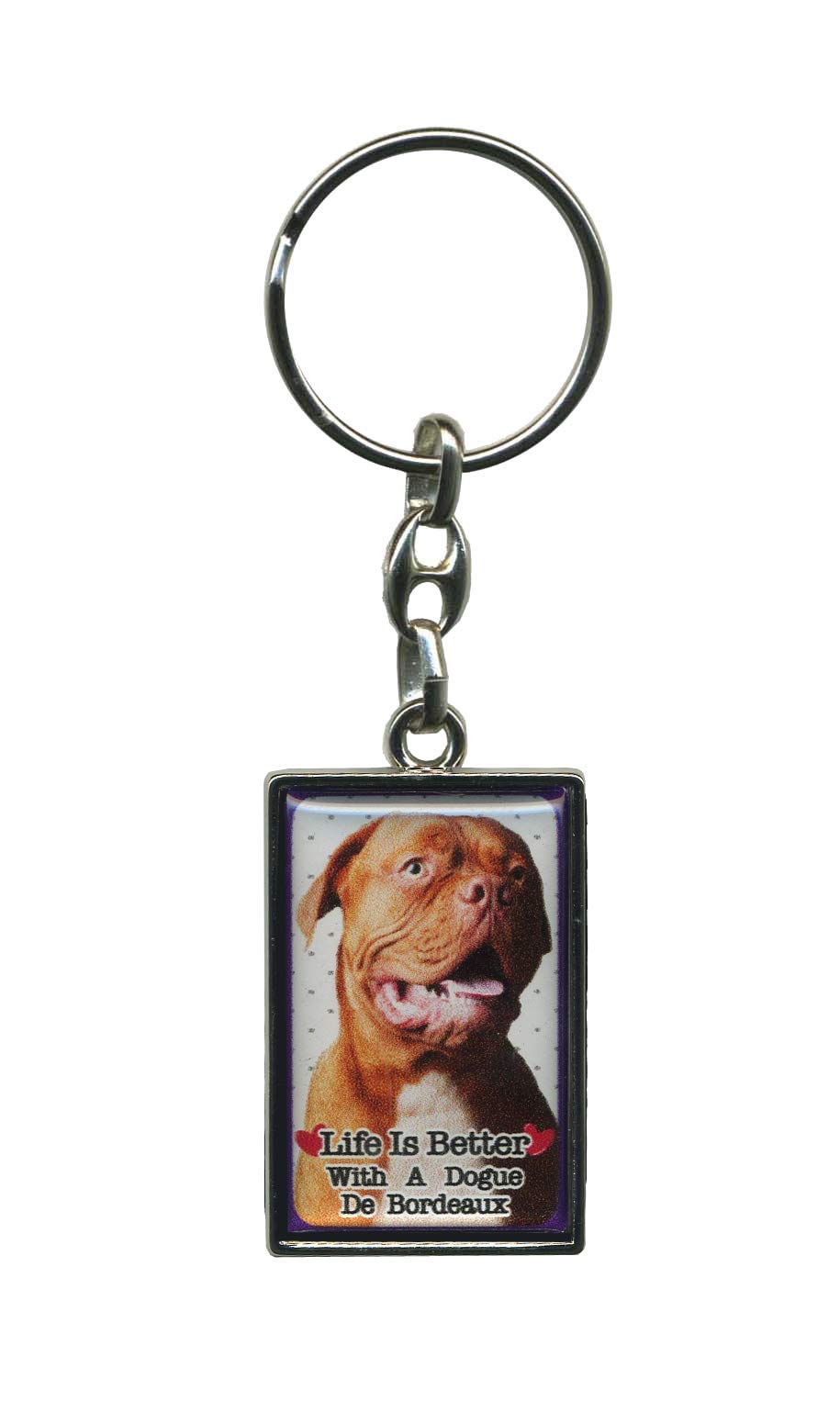 Instant Gifts Dogue De Bordeaux Metal Keyring - Life Is Better With A Dog (Dogue De Bordeaux)
