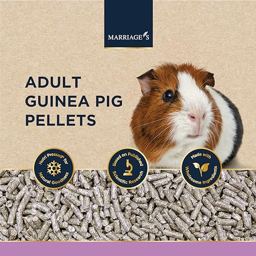 Marriage’s - Adult Guinea Pig Pellets for a Healthy Weight and Immune System, Guinea Pig Food with Sunflower Seed, High Fibre, 100% Nutri Pressed, Suitable for All Adult Guinea Pigs (2kg) - Image 2