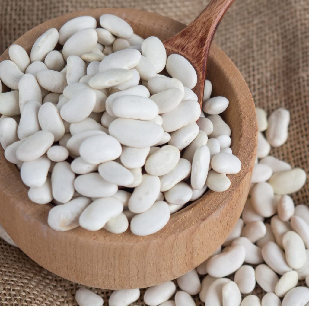 Soleilfood weiße Bohnen getrocknet 25 kg white beans Hülsenfrüchte Fasulye GMO frei feinste Qualität