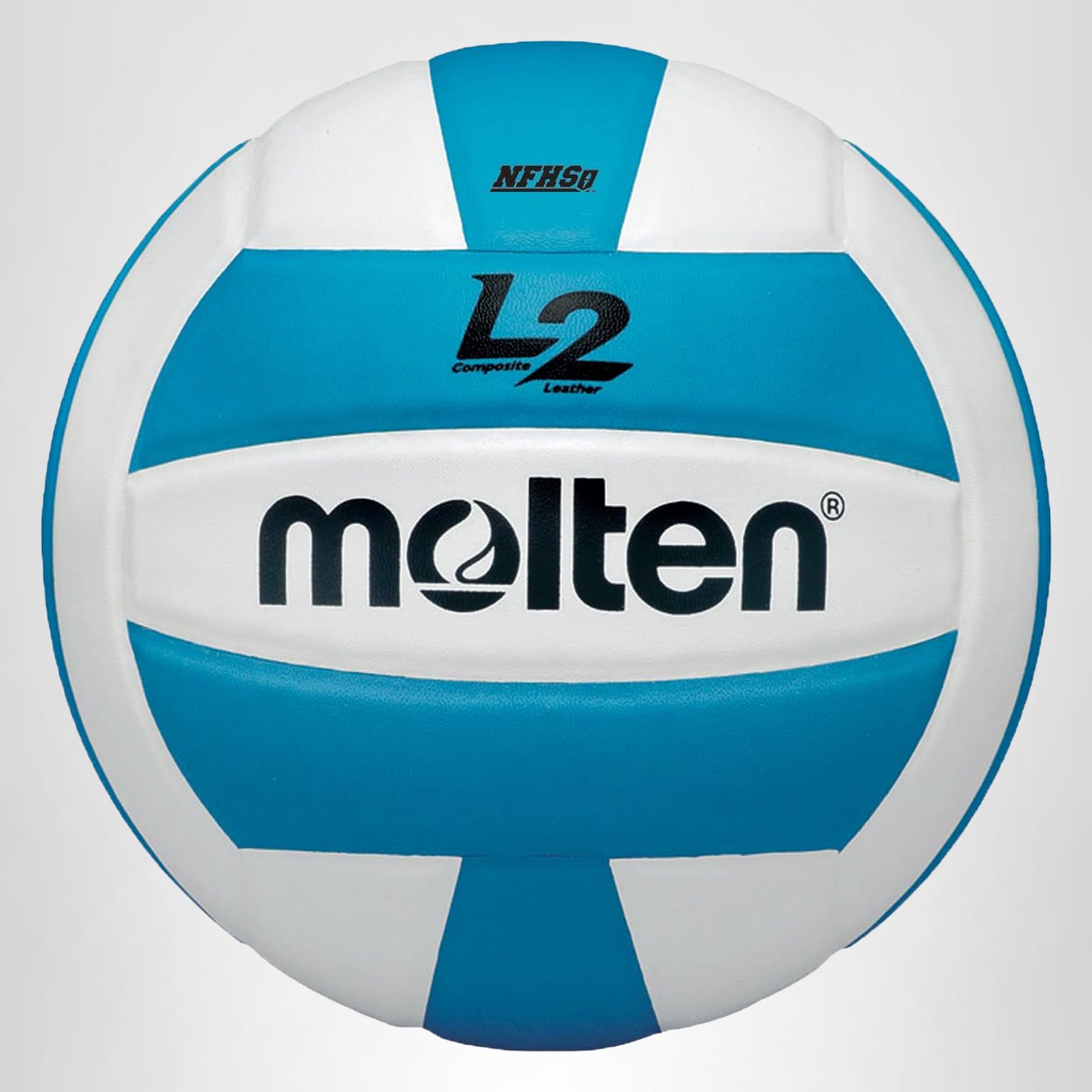 Amazon.com : Molten Premium Competition L2 Volleyball, NFHS