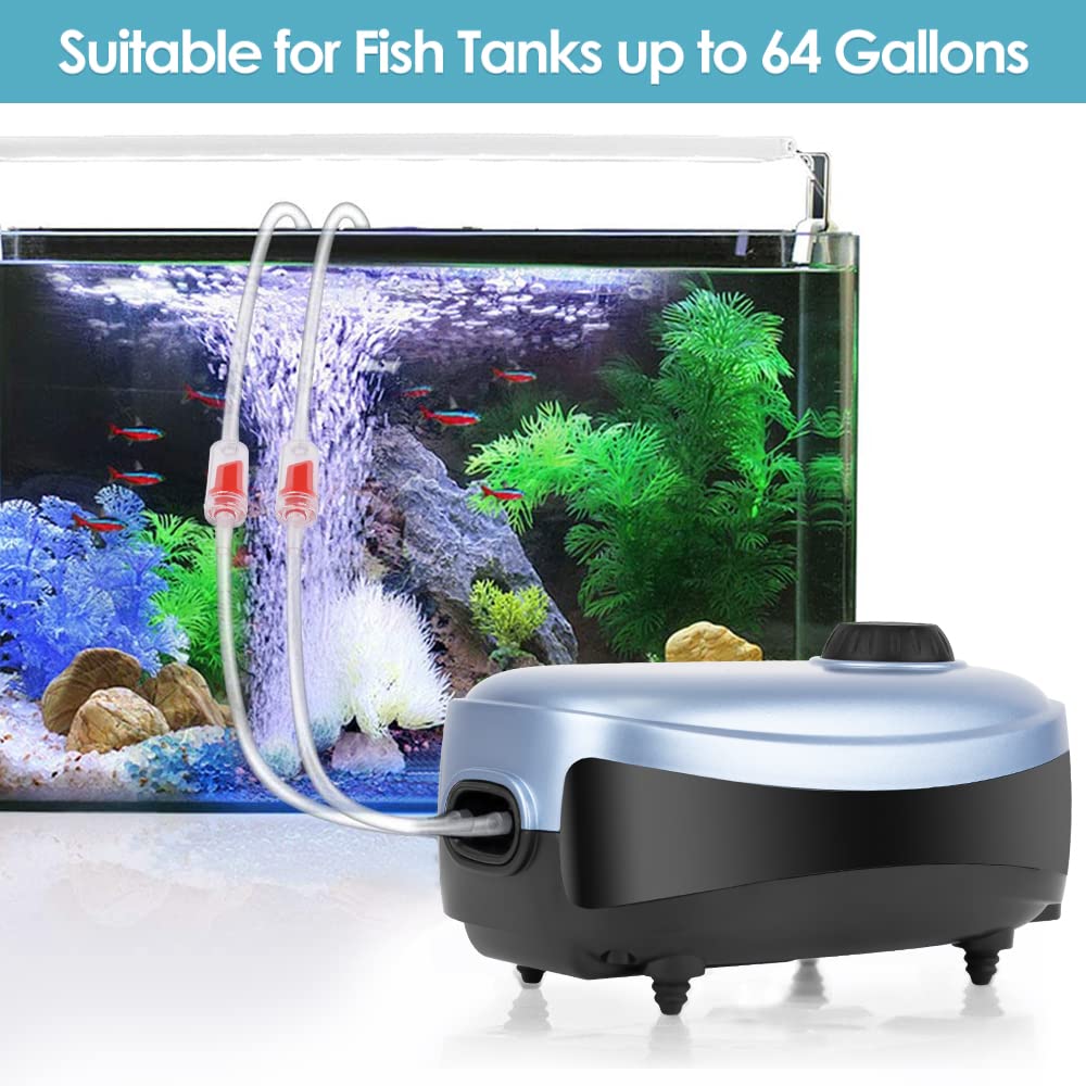 Placement and Setup Tips for a 120-Gallon