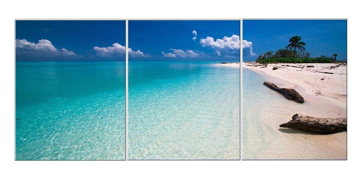 海の風景 キャンバス Amazon.co.jp: アートパネル 海 キャンパス 約80×40cm 絵 夕日