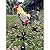 Weather Vane with Rooster Ornament, Cast Iron Wind Vane Weather Vane for Roofs Rooster Weathervane Garden Yard Patio Decor