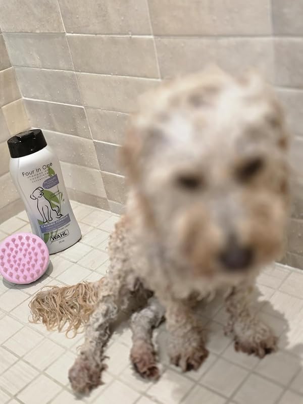 Pet Shampoos Plus Conditioners : Wahl USA 4-in-1 Calming Dog Shampoo with Lavender Chamomile Scent – Cleans, Conditions, Detangles, & Moisturizes - Pet Friendly Formula - 24 Oz - Model 820000A Review Image
