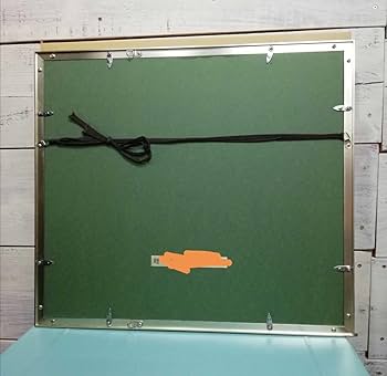 Amazon.co.jp: 関武比古 作 純銀製 シルバー999 鶴 日の出 レリーフ 額