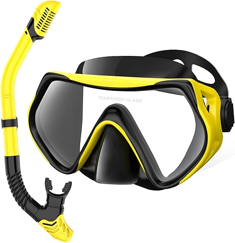 Equipo de esnórquel para adultos, juego de esnórquel seco máscara de buceo, vista panorámica de 180, equipo de esnórquel profesional, máscara de