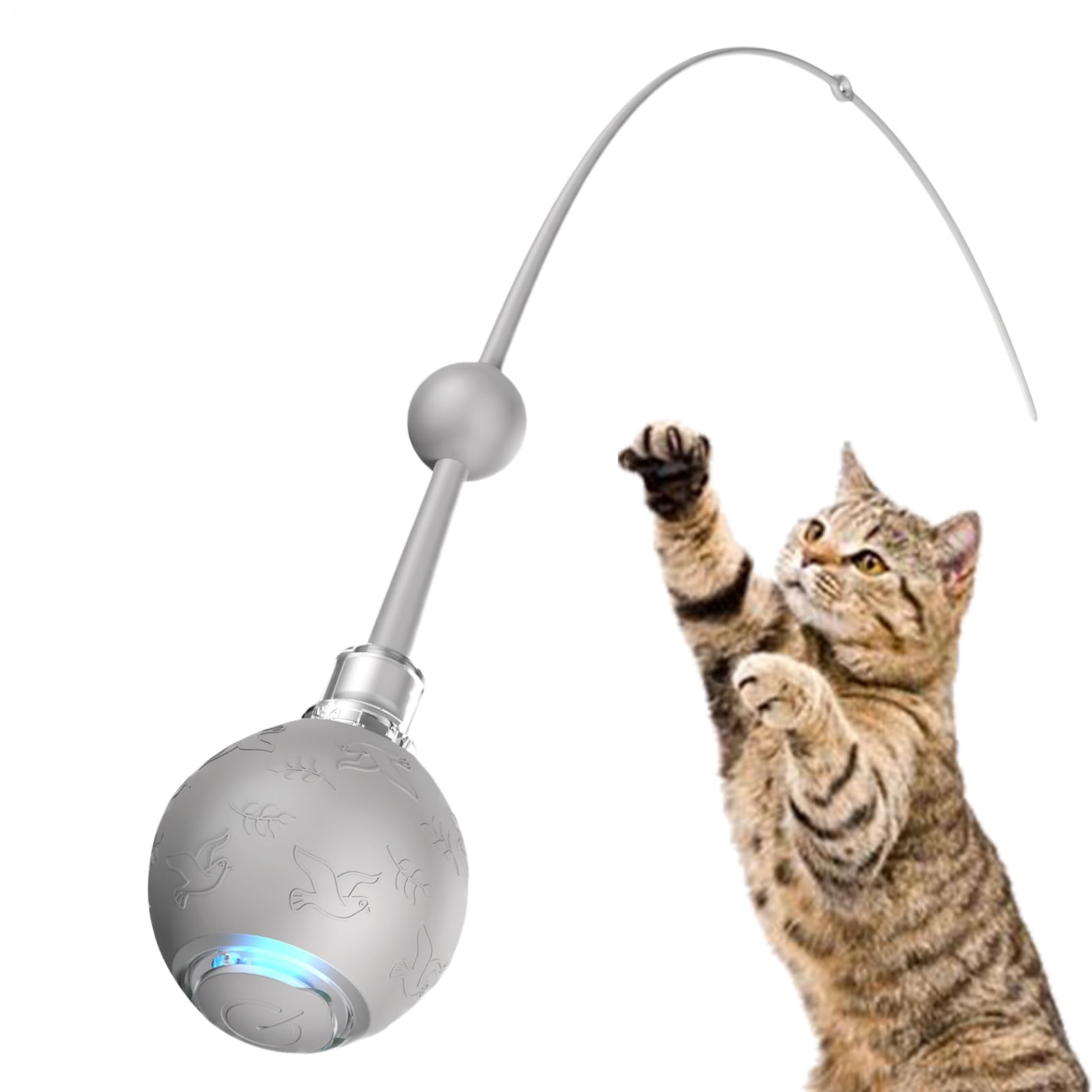 Balle électrique pour chat pour stimuler l'instinct de chasse et éviter l'ennui