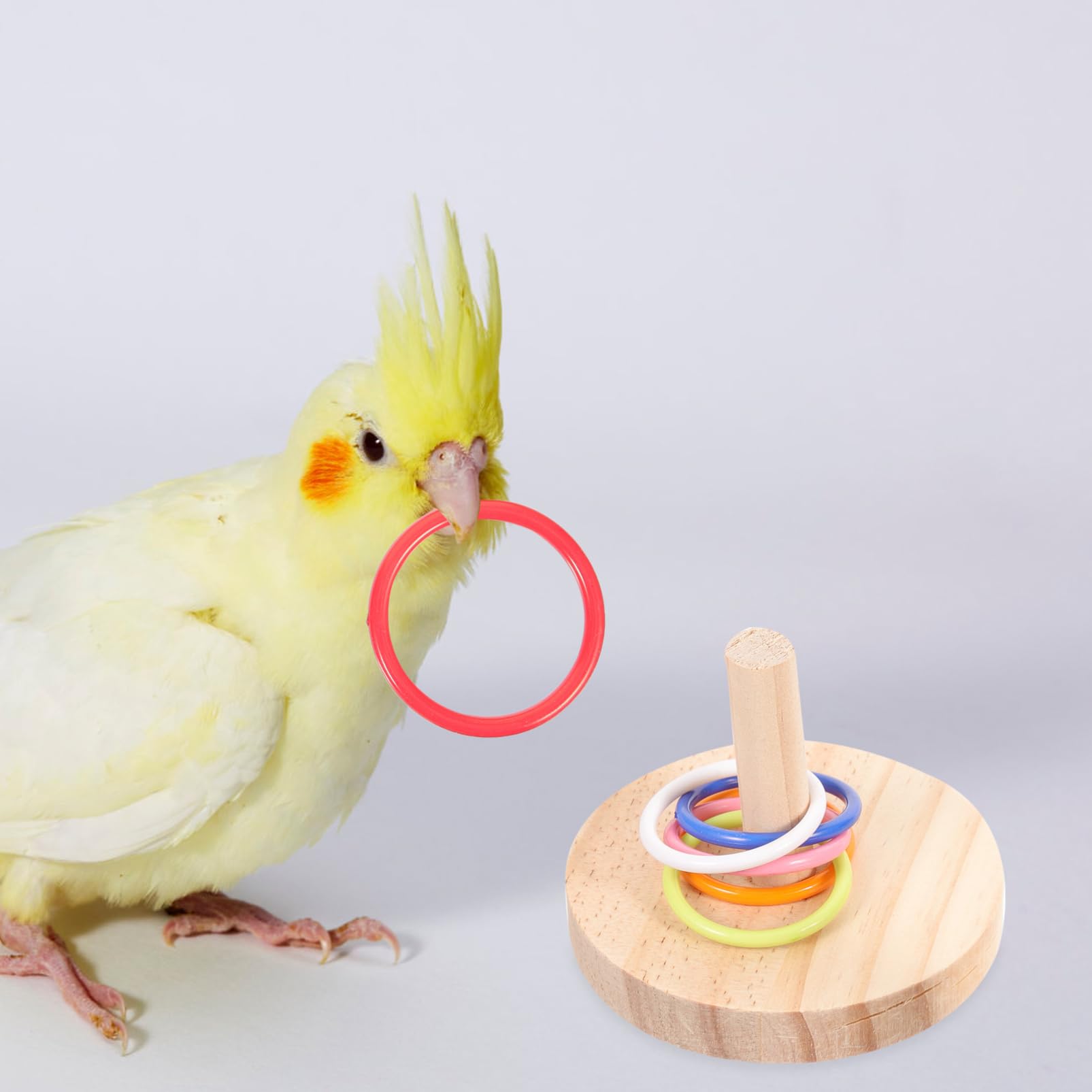 BESPORTBLE 8sätze Papageien Spielzeug Aus Holz Interaktives Tower Spielzeug Für Nymphensittiche Wellensittiche Intelligenztraining Für Vögel Teiliges Mit Zufälligen Farben Fördert Spiel