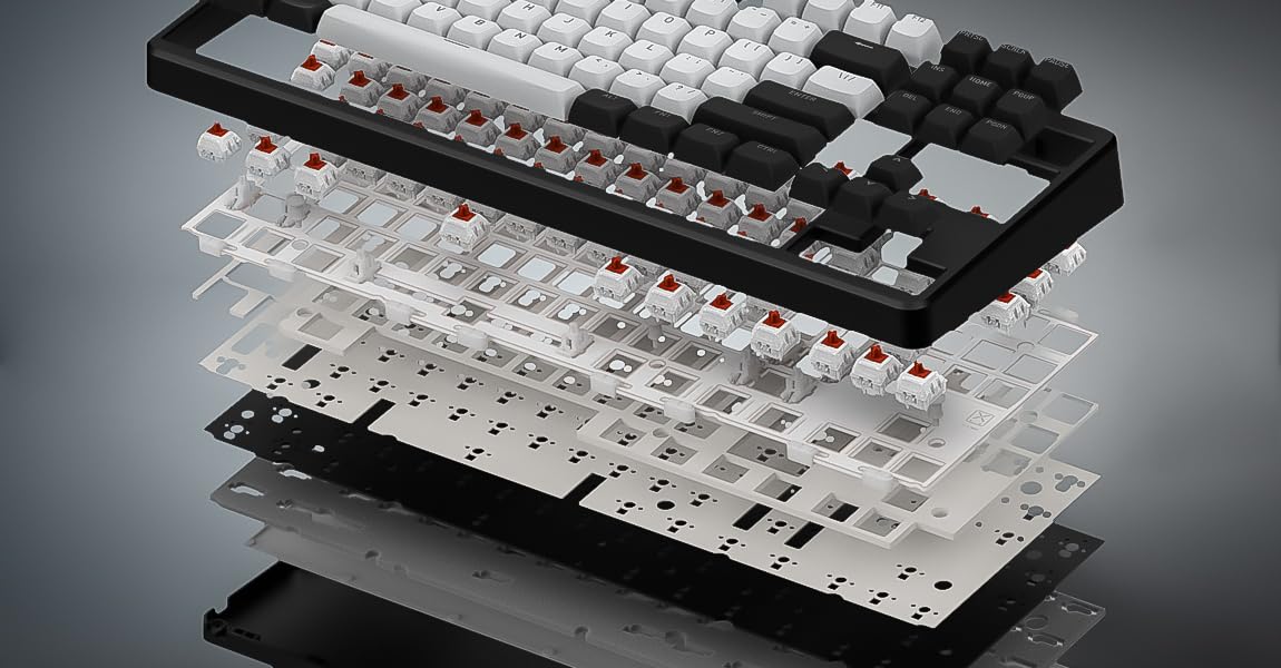 HATOR Rockfall 3 TKL - Teclado inalámbrico para videojuegos, intercambiable en caliente, RGB, Gasket Mount, batería de 4000 mAh, 2,4 GHz/Bluetooth/USB, PBT Keycaps, QMK/VIA, DE Layout, Mac/Windows