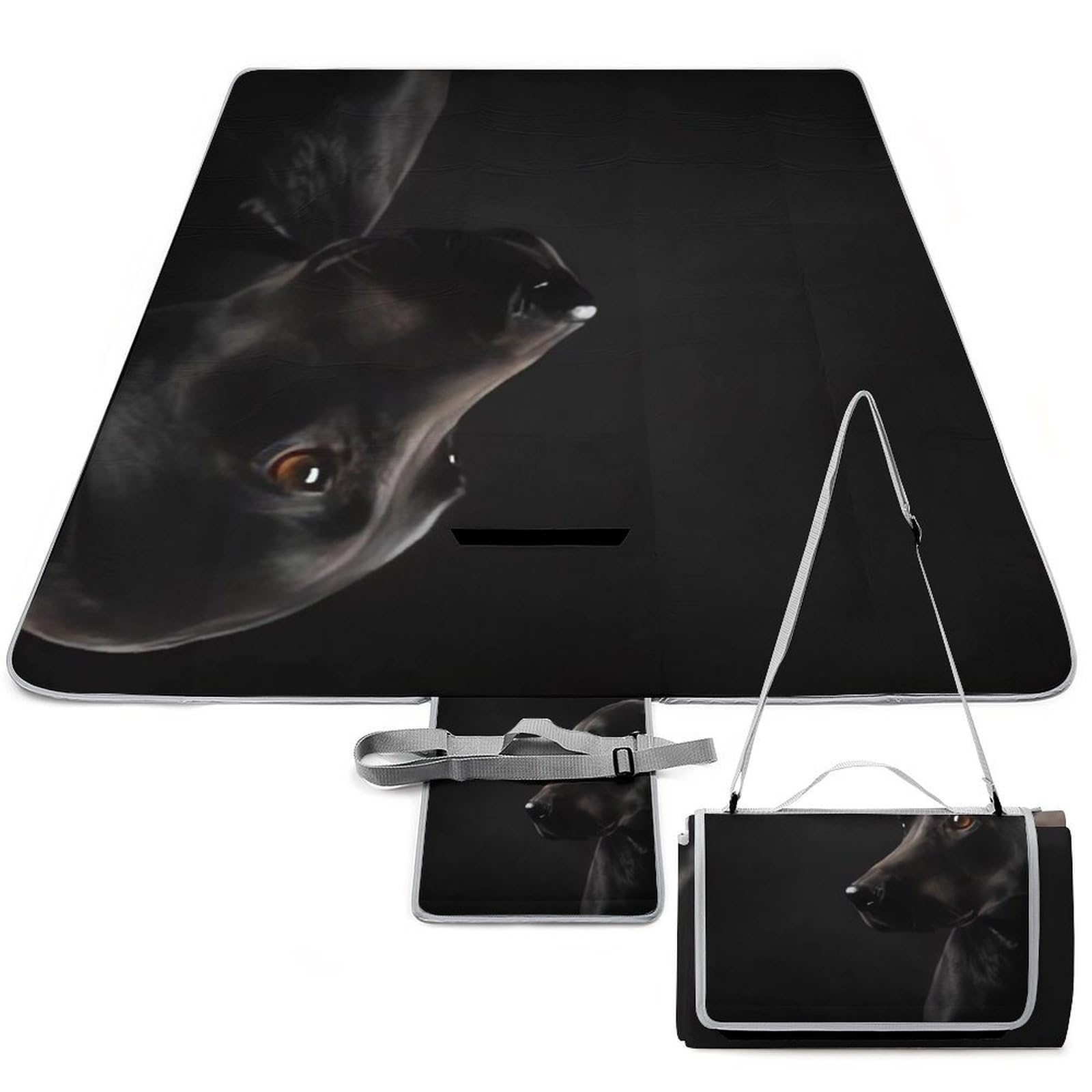 Tapis de camping pliable pour éviter le sol humide au parc