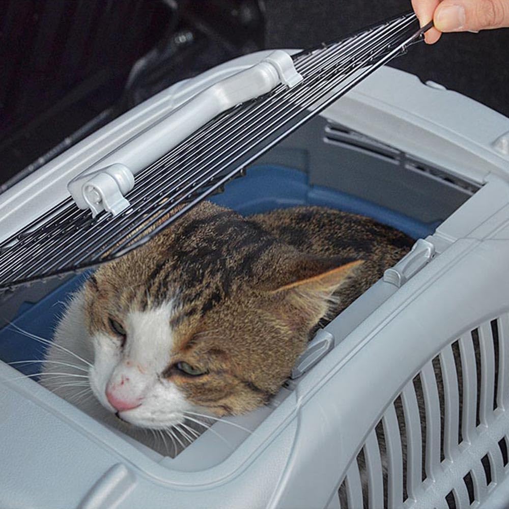 Ferplast Transportín Gato, Transportín Perro Pequeño hasta 5 Kg, Techo Abrible, con Cojín y Comedero, 34 x 50,7 x h 30 cm, Transportín Mascotas Rígido Atlas 10 Open Deluxe