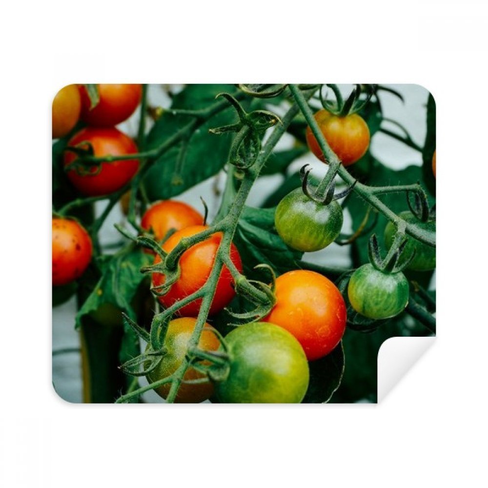 Fresh Temperate Fruit Tree Picture Cleaning Cloth Screen Cleaner 2pcs Suede Fabric