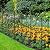 Skcoipsra Decorative Garden Fence 10 Pack, 37.5in(H) x 10.8ft(L) Animal Barrier Fence, Rustproof Metal Fencing for Yard, Dog Rabbits Wire Section Garden Edging Border for Yard Patio Garden, Arched