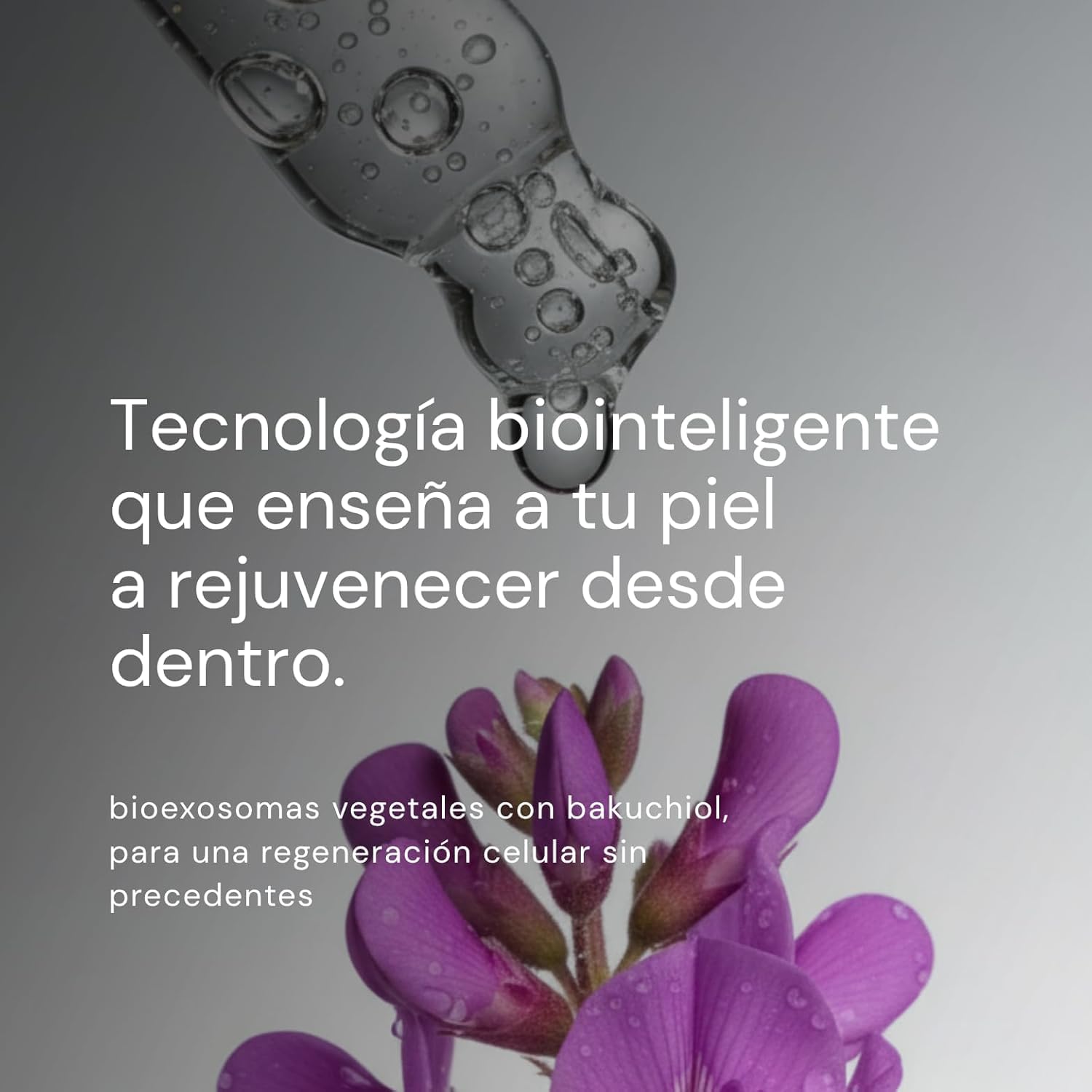 Serum Facial con Exosomas y Bakuchiol | Cuidado Facial Avanzado con Bioexosomas | Mejora Apariencia de Líneas y Textura | Luminosidad y Piel con Aspecto Firme | Fórmula Vegana Clean 30 ml