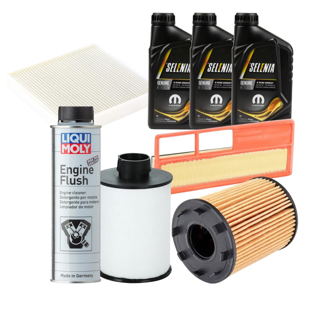 Kit Tagliando compatibile con Fiat Punto 1.3 Multijet + Selenia 5W40 + Additivo (IMP. PURFLUX)